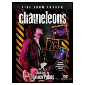 The Chameleons. Live from The Camden Palace