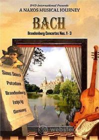Johann Sebastian Bach. Concerto Brandeburghese n.1 BWV 1046