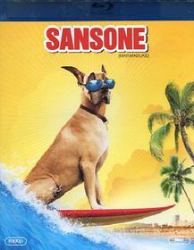 Sansone (Cofanetto blu-ray e dvd)