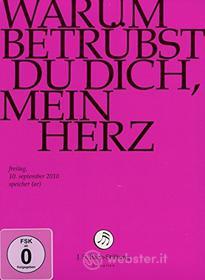 Johann Sebastian Bach  - Warum Betruebst Du Dich Mein