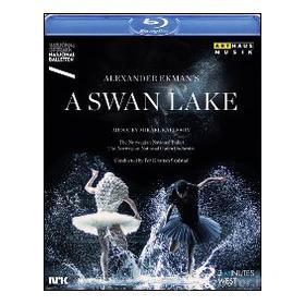 Mikael Karlsson. A Swan Lake (Blu-ray)