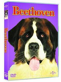 Beethoven (Big Face)