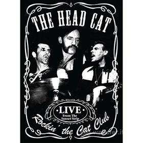 Head Cat - Rockin' The Cat Club
