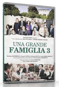 Una grande famiglia. Stagione 3 (4 Dvd)