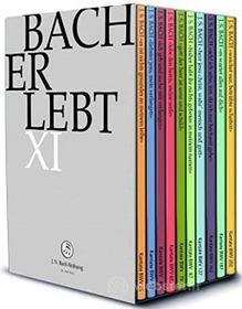 Johann Sebastian Bach - Erlebt XI (11 Dvd) (11 Dvd)