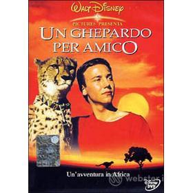 Un ghepardo per amico