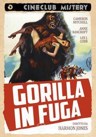 Gorilla in fuga