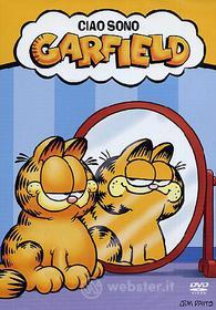 Ciao sono Garfield