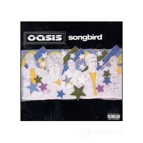 Oasis. Songbird