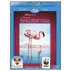 Il mistero dei fenicotteri rosa (Blu-ray)