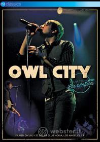 Owl City. Live From Los Angeles