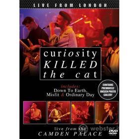 Curiosity Killed The Cat. Live From London