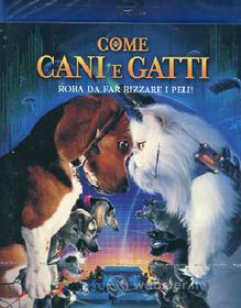 Come cani & gatti (Blu-ray)