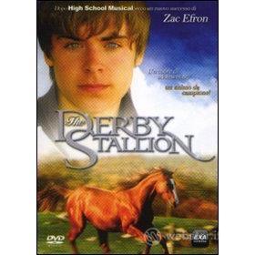 Derby Stallion