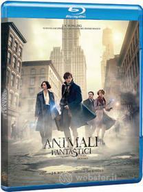 Animali Fantastici E Dove Trovarli (Blu-ray)