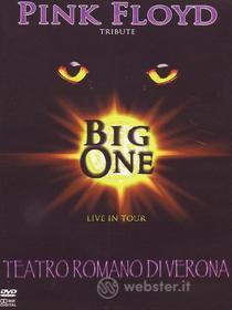 Pink Floyd Tribute - Live In Tour - Teatro Romano di Verona