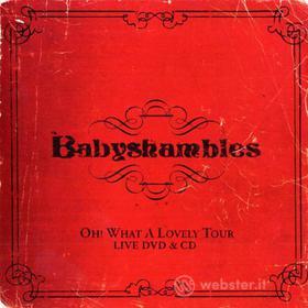 Babyshambles - Oh What A Lovely Tour (2 Dvd)