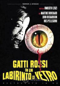 Gatti Rossi In Un Labirinto Di Vetro (Restaurato In Hd)