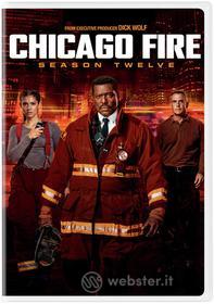 Chicago Fire: Season Twelve (3 Dvd) [Edizione : Stati Uniti]