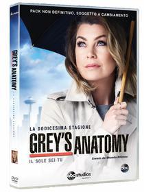 Grey's Anatomy. Serie 12 (6 Dvd)