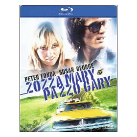 Zozza Mary pazzo Gary (Blu-ray)