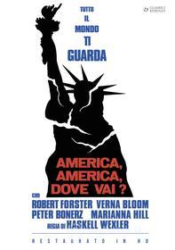 America, America, Dove Vai? (Restaurato In Hd)