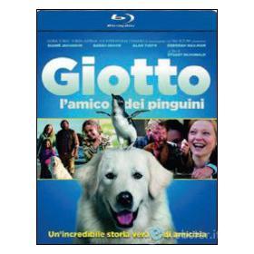 Giotto, l'amico dei pinguini (Blu-ray)
