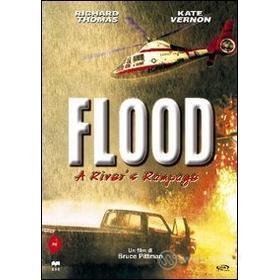 Flood. A River's Rampage