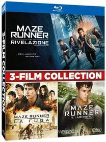 Maze Runner Boxset (3 Blu-Ray) (Blu-ray)