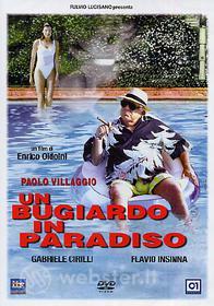 Un bugiardo in Paradiso