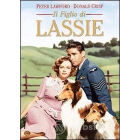 Il figlio di Lassie