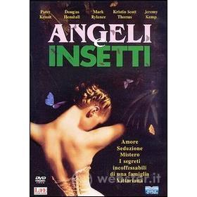 Angeli e insetti