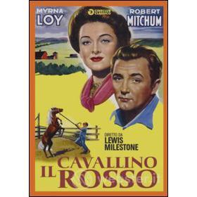 Il cavallino rosso