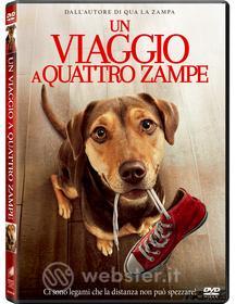 Un Viaggio A Quattro Zampe