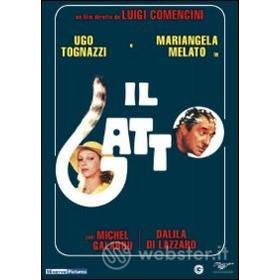 Il gatto