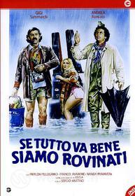 Se tutto va bene siamo rovinati