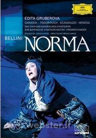 Vincenzo Bellini. Norma (2 Dvd)