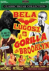 Bela Lugosi E Il Gorilla Di Brooklyn