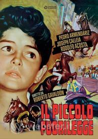 Piccolo Fuorilegge