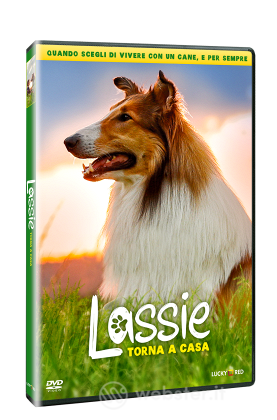 Lassie Torna A Casa