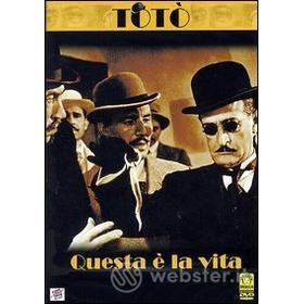 Questa è la vita