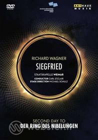 Wagner Richard - Siegfried - Sigfrido (2 Dvd)