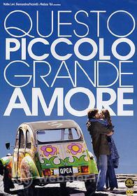 Questo piccolo grande amore