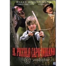 Il piccolo capo indiano