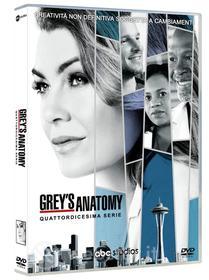 Grey's Anatomy - Stagione 14 (6 Dvd)