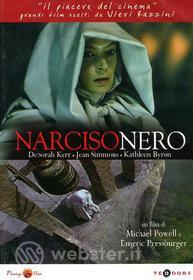 Narciso nero