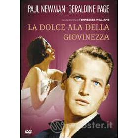 La dolce ala della giovinezza