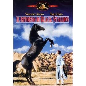 Il ritorno di Black Stallion