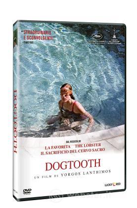 Dogtooth