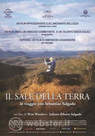 Il sale della terra